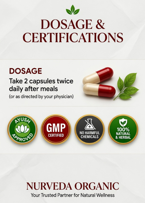 Sugar Care 500
