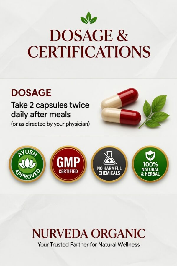 Sugar Care 500