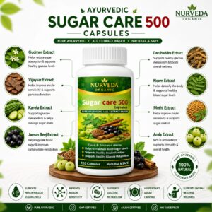 Sugar Care 500 - Image 4